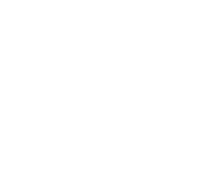 x twitter icon